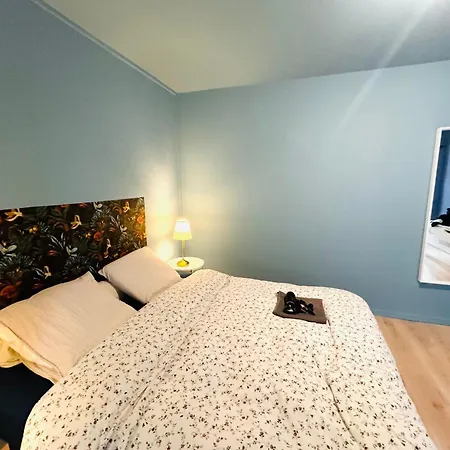 Design And Luxe Hyper Centre * 波尔多